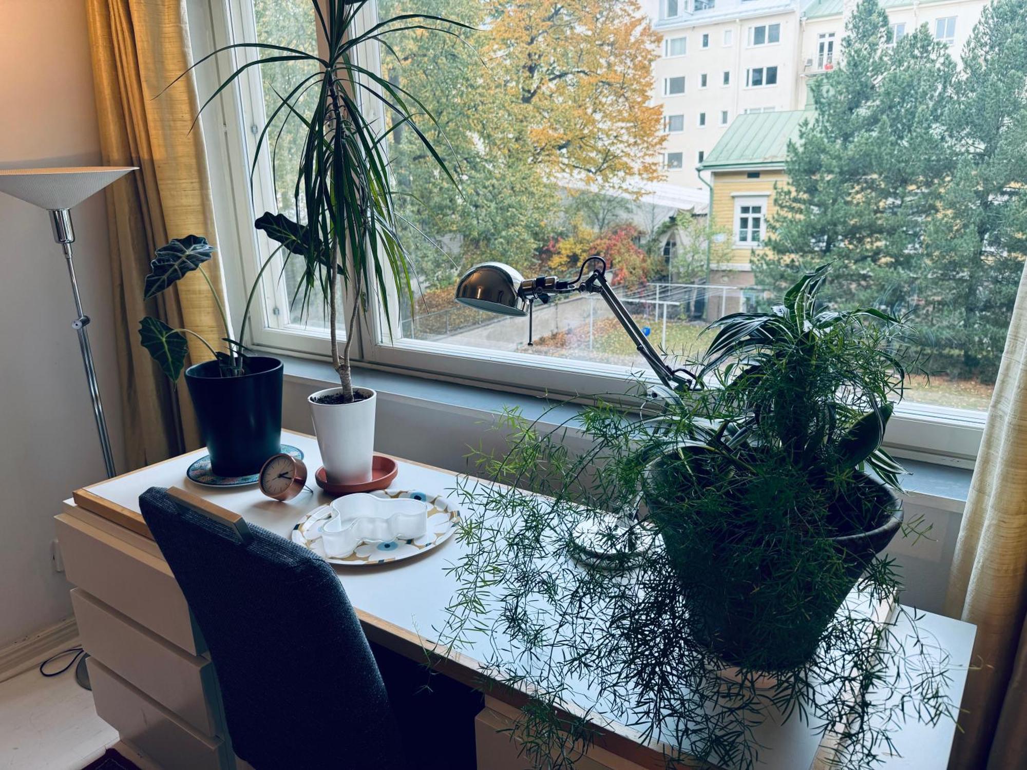 Lovely Apartment, Vuorimiehenkatu 31 Helsinki Zewnętrze zdjęcie